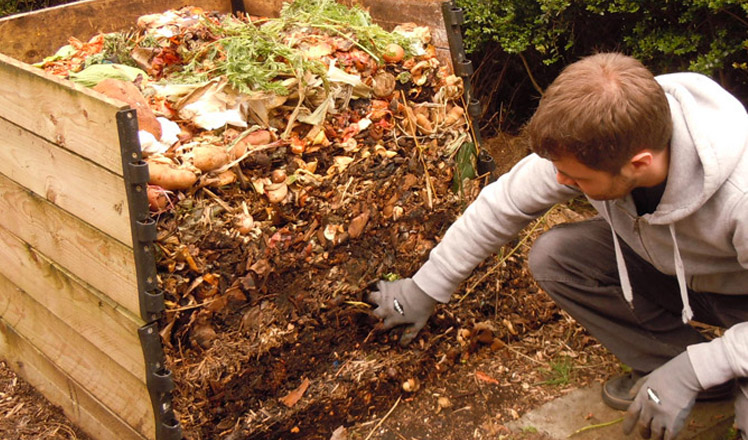 Compost : utilisations au jardin, au potager et pour les plantes en pot
